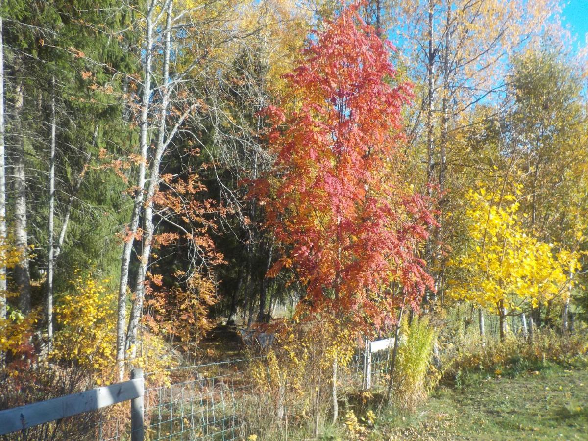 Lovelund Farm. Cottage Hagfors Exterior foto